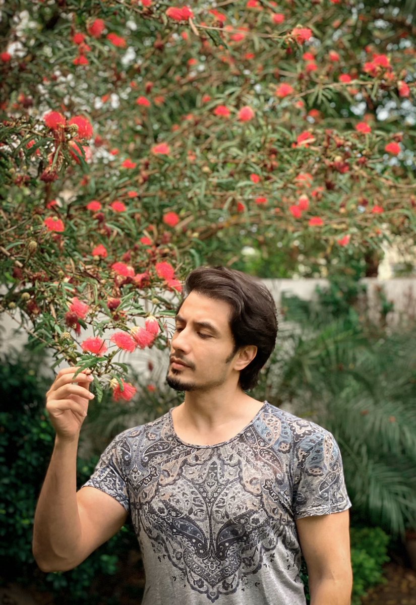 AliZafarsays's tweet photo. اس تصویر مئں آپ کا بھائی پھولوں سے مخاطب ہونے کی کوشش میں پوز مارتا ہوا۔ https://t.co/REdd6enBGc
