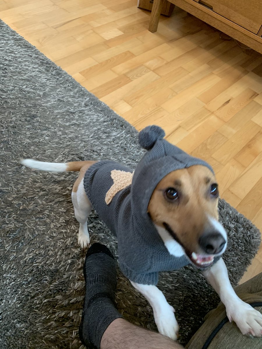 Espenlespen's tweet photo. @DatModz What a cute pupper.. enjoy 🥰 here’s my little retard! 😂 https://t.co/fgwiy5nAfw