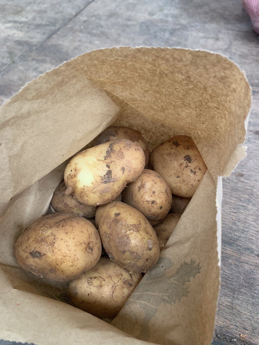 TatwsTrading's tweet photo. In our boxes this week will be #Mozart pot fantastic all rounder & #Majorcan new scrapers bringing top quality to your home 👌👌👌👌👌👌👌👌call 01492 545999 to order your this week we deliver from Rhyl to Llanfairfechan along the coast & Bangor on fridays too https://t.co/wyGILm6rT3