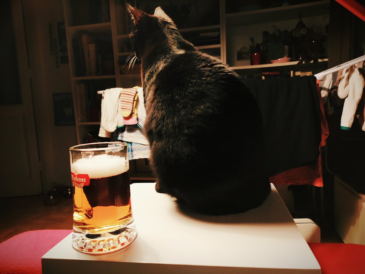 coronapareja's tweet photo. Colada por la colada 🐯❤️🧦
#COVIDー19 #Cats #gatos #SalATuCasa https://t.co/u0GqdfspGC
