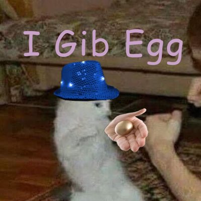 ChloeRozleja's tweet photo. #NewProfilePic https://t.co/lunDJIGyEs