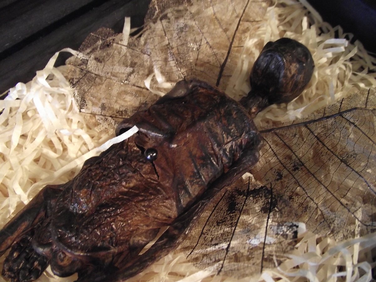 strangecurios's tweet photo. @CentreMyth Thank you
...& the #Folklore Dead #Fairy #SideshowGaff will be listed later today on eBay.
#JustSaying #GratuitousOpportunistPlug
👉👉👉https://t.co/4vob0cBaoJ https://t.co/dUmZmkKsRS