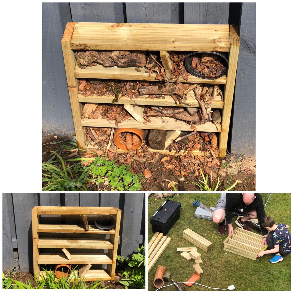 mrsdovey's tweet photo. Open for check-in #bughotel #intheirelement @bigdovey @CornbankPS https://t.co/XH18uarmu7