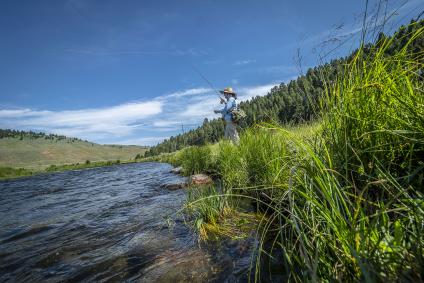 forestservice tweet picture