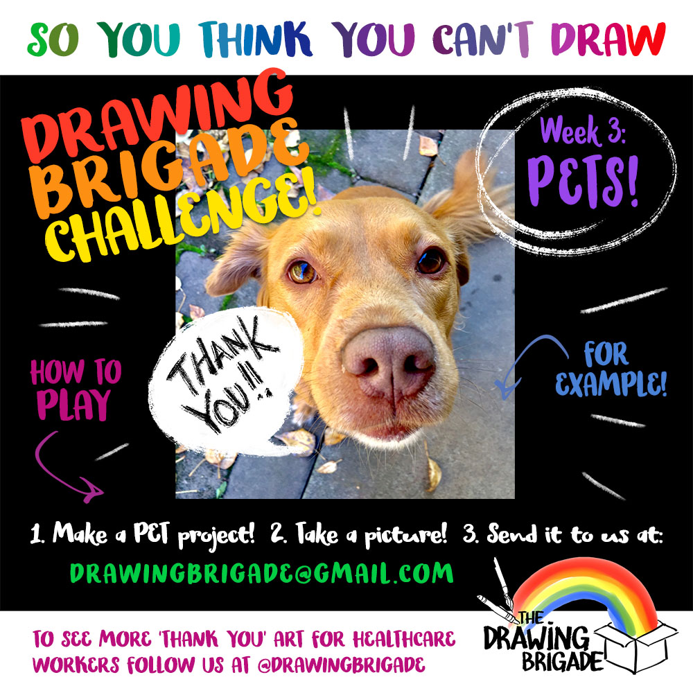 DrawingBrigade's tweet photo. Welcome to Week 3 of our #soyouthinkyoucantdraw challenge! This week’s theme is PETS 🐕🐢How to play: 1. Make a project involving your pets that shows support for #healthcareheroes! 2. Take a picture! 3. Send it to drawingbrigade @ gmail and we will share with hospitals!🌈 https://t.co/v54JsjQcgK