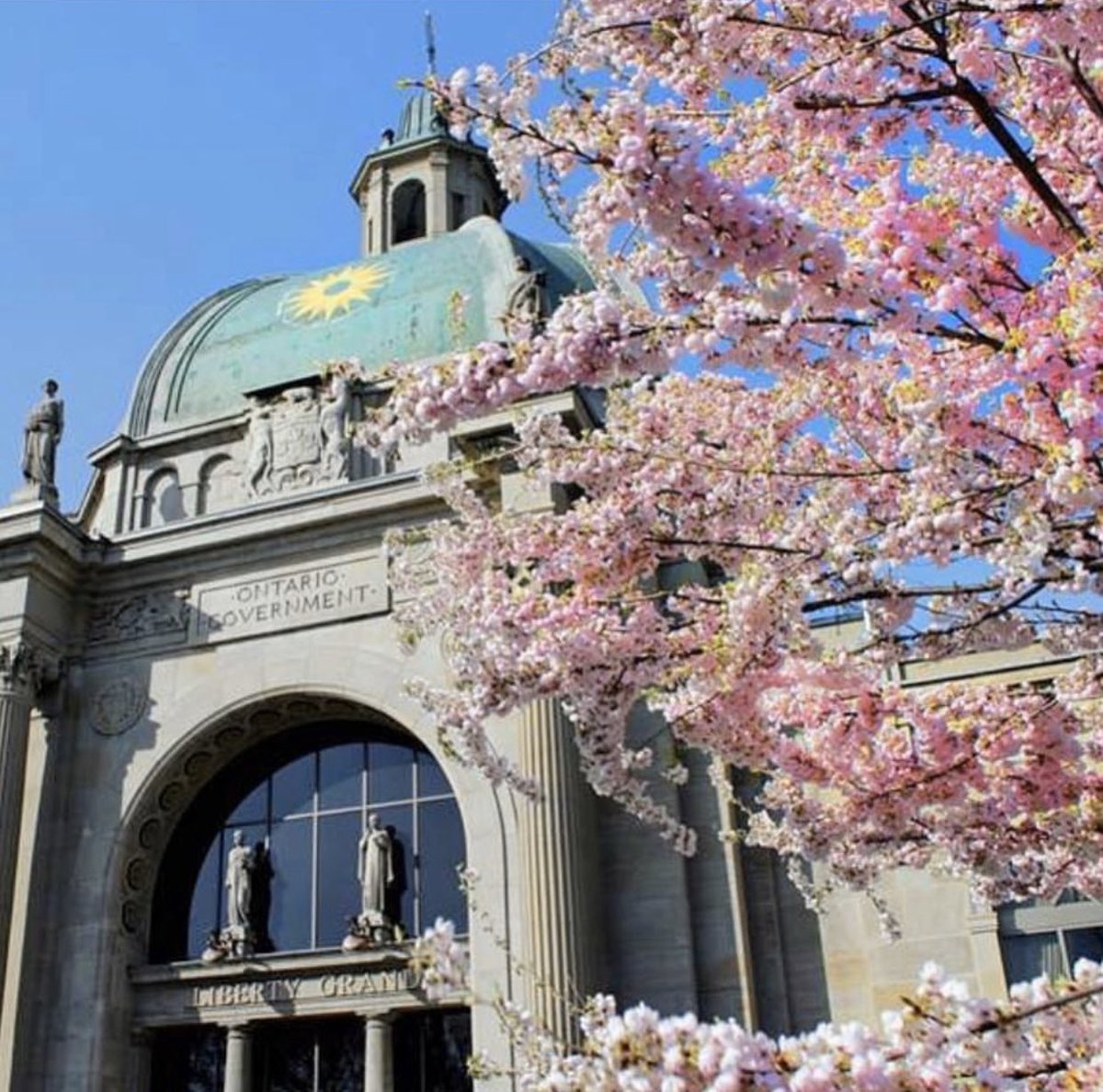 liberty_grand's tweet photo. Live life in full #bloom. The Sakura trees on the #LibertyGrand property were donated by the Consul General of Japan in 2002. They represent friendship and good will between Canada and Japan. ๐ธ #LibertyGrandTO
#cherryblossom #spring #toronto https://t.co/3HDScywIes