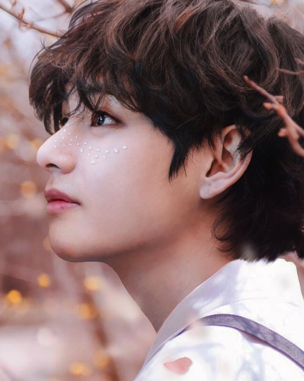 btsgraphica's tweet photo. Ode to spring 🌺 #Taehyung @BTS_twt https://t.co/S3ewh36U7n