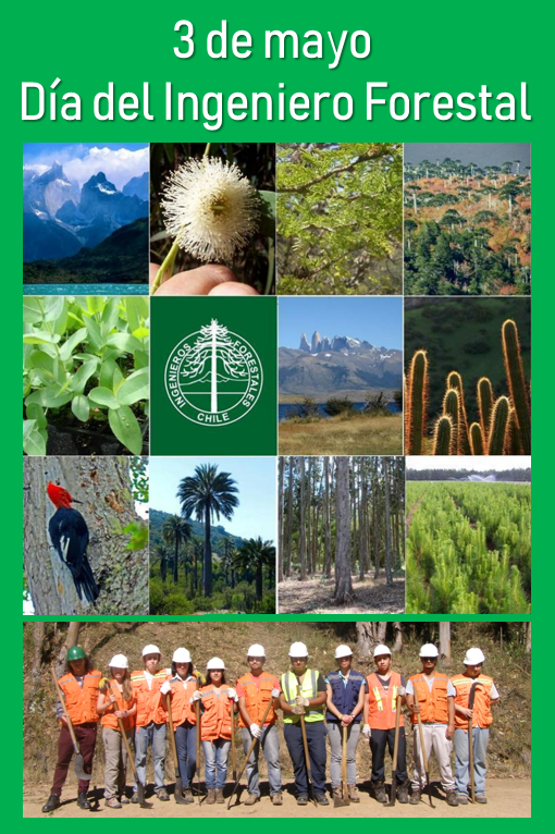 Un saludo afectuoso a todos y todas las ingenieros forestales del país en su día. La profesión de los bosques, la  naturaleza y la sustentabilidad!!! #DiaDelIngenieroForestal