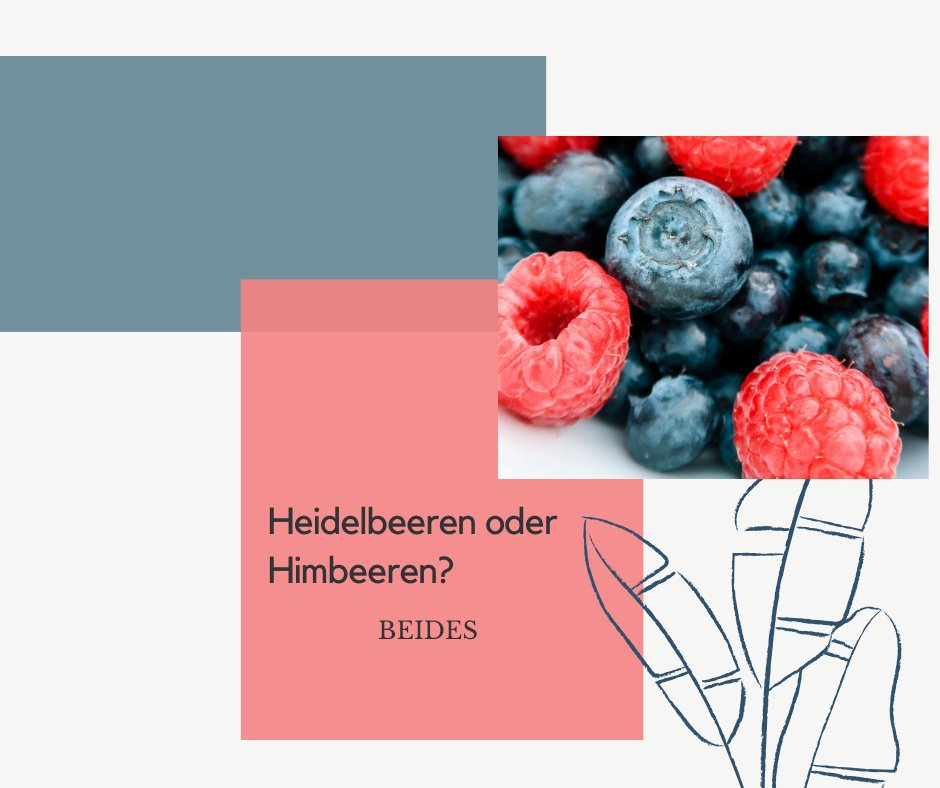 SusanneJuhaz's tweet image. Polyphenole gehören in jede gesunde Ernährung: bit.ly/2xxMIWo

#GesundeErnährung #Polyphenole