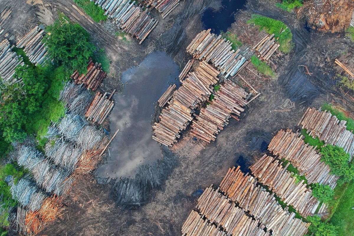 manueloesch's tweet photo. On average, 28 million hectares of forest are cut down every year. And deforestation is increasing!
We must change!
https://t.co/58PoAtSVWE
#deforestation #forest #reforestation #escosia #climatechange #enviroment #climatestrikeonline #nature #earth #globalwarming #globalgoals https://t.co/Z6oSyY9yYS