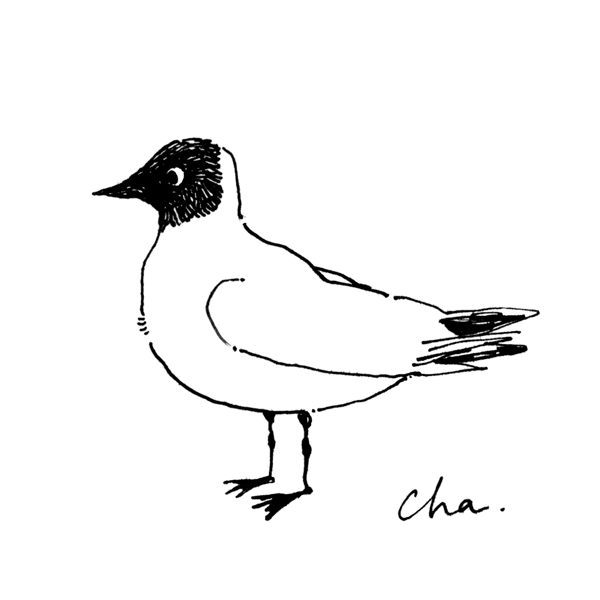 hrcha1010 tweet media