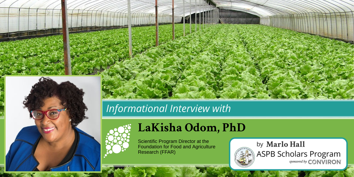 plantae_org's tweet photo. In this interview, @ASPB @Conviron Scholar @marlolovesplant spoke with Dr. LaKisha Odom, Scientific Program Director at the @FoundationFAR https://t.co/3TfXXPE3JM https://t.co/3UDBR3e7iQ