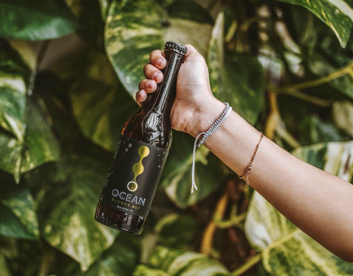 oceanlabbrewing's tweet photo. ¡Hola, domingo! Hoy es un buen día para disfrutar de una Ocean Blonde Ale fría al aire libre en tu casa. ¡SALUD! 🍻🤩
#BornForEveryone #BornOnTheBeach #QuedateEnCasa 
#HechaEnPuertoRico #ElaboradaLocalmente https://t.co/KEQzLNHOtf