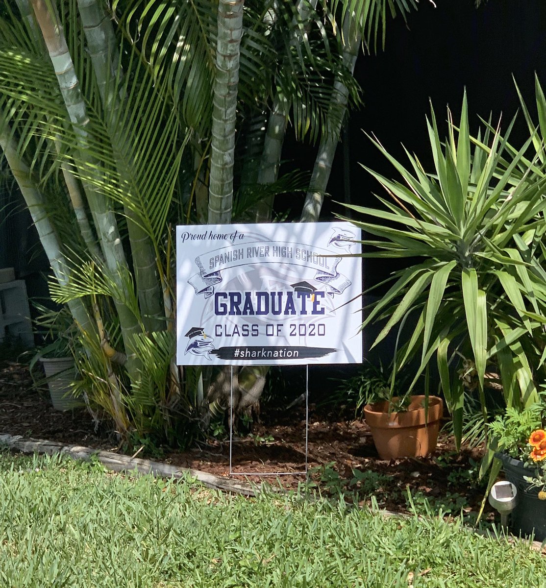 Sperduti_DEHTMS's tweet photo. Saw this beauty on my walk this morning! I’ve never been more proud to be a Spanish River alum! #sharknation #homegrown #SharePBCSD https://t.co/yhIS8KqU7W