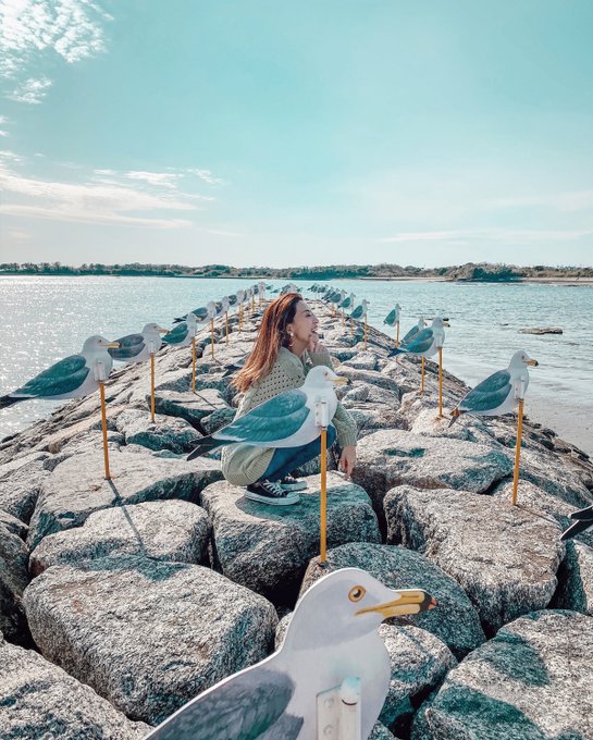 天空の難破船のtwitterイラスト検索結果