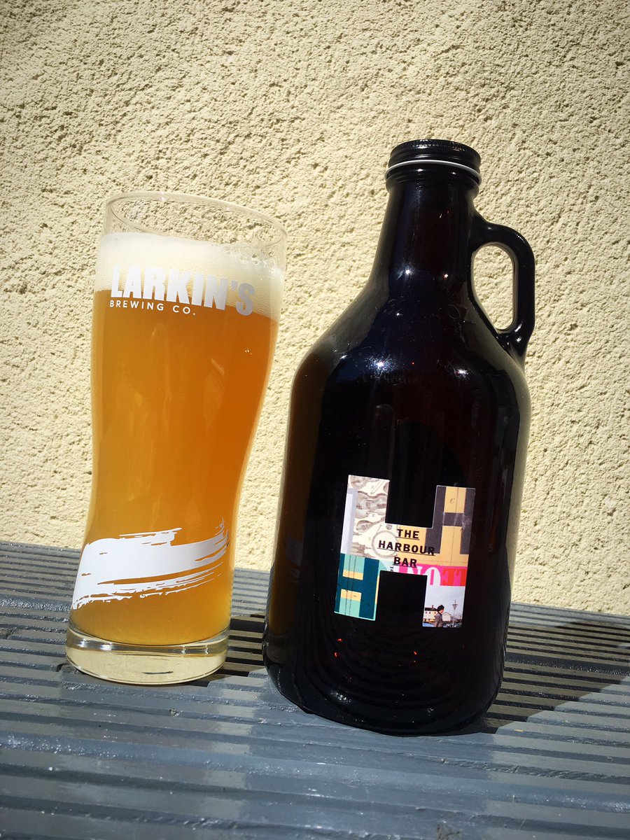The <a href="/theharbour_bar/">The Harbour Bar Bray</a> making an appearance in my garden! <a href="/WWolfBrewery/">Wicklow Wolf Brewery | B Corp™</a> <a href="/OBrotherBrewing/">O Brother Brewing</a> @larkins_brewing 
 #craftbeer #beerlover #craftbeerlover #craftbeerlife  #isolationlife #staysafe #stayathome #supportlocal #harbourbar #supportlocal #bray #brayisclass #wicklow #ireland