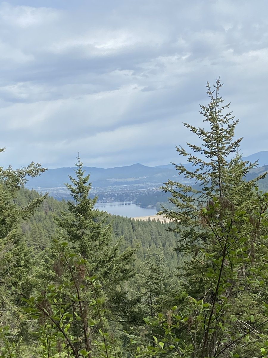 presnell_jb's tweet photo. Why trail running/hiking? https://t.co/gRVOp1GFbv https://t.co/aMG39bkNqv