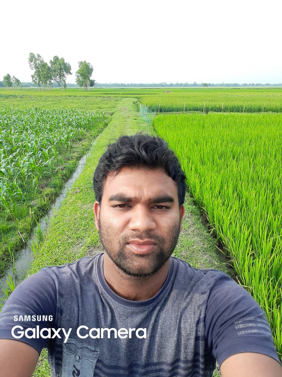 গ্রাম বাংলার অপরুপ দৃশ্য