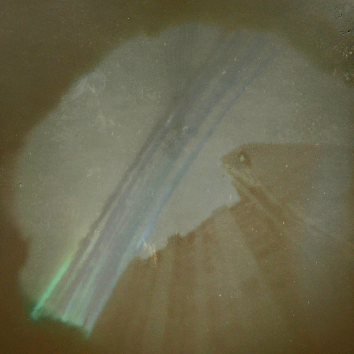 mingyarb's tweet photo. "Paralelos a la cuarentena"
#solargraphy #solarigrafia #solargraphs #cuatentenacreativa #cuatentenaestenopeica #cuarentenaart #cuarentena #quarantine #quarantineart #pinhole #pinholeart #pinholevenezuela #estenopeica #blonespinhole #artvenezuela #artphoto #caracas #venezuela https://t.co/0wkWiQm5UI