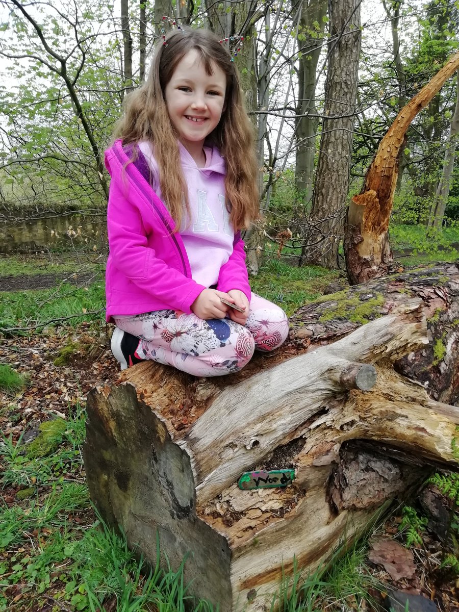 JoRush84's tweet photo. @MauricewoodPS Eve has made and hidden some fairy doors in beeslack woods. Would love people to add to them 🧚 https://t.co/JX5kabUPld