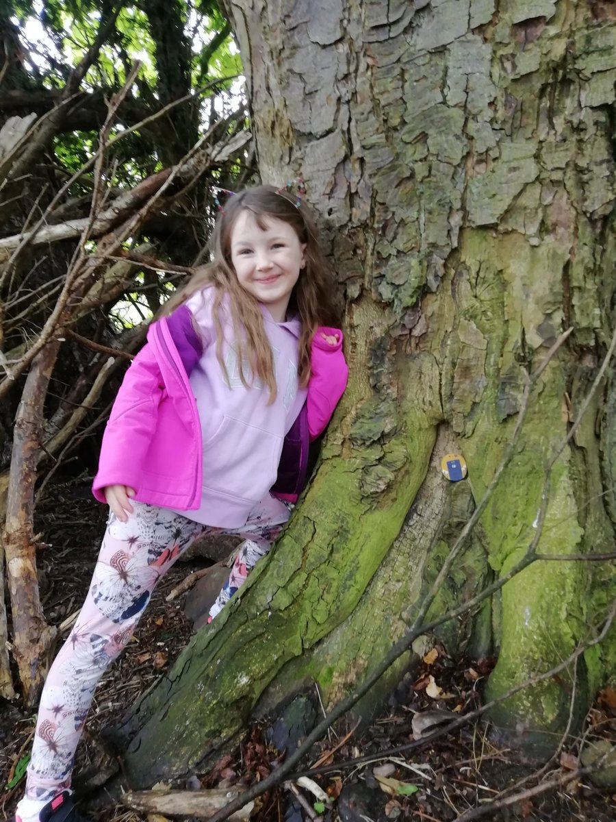 JoRush84's tweet photo. @MauricewoodPS Eve has made and hidden some fairy doors in beeslack woods. Would love people to add to them 🧚 https://t.co/JX5kabUPld