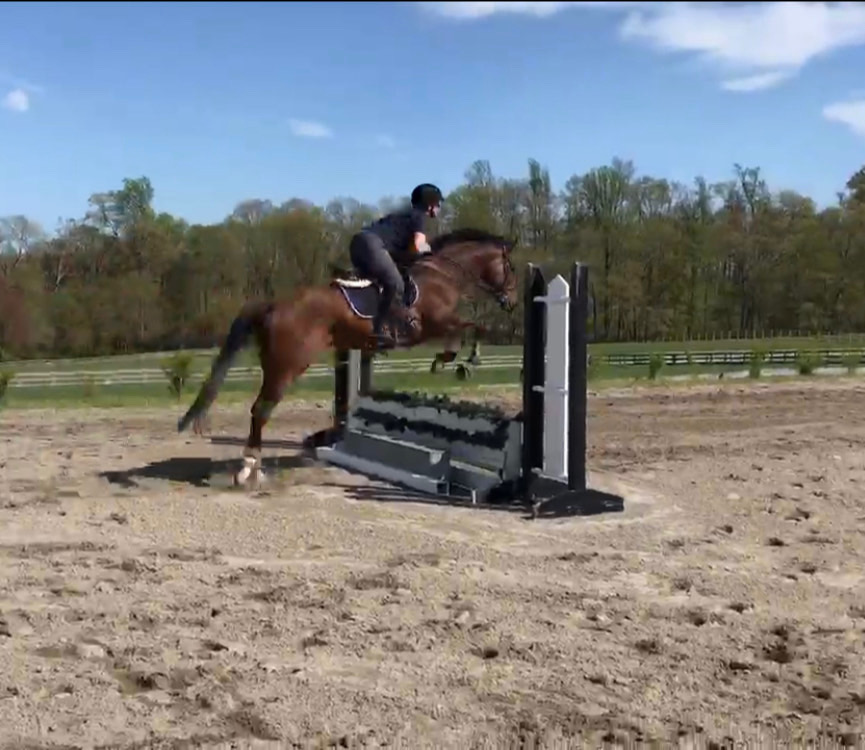 DilodovicoS's tweet photo. One of our retired racers getting up. #goZoom https://t.co/4pDTqTj78W