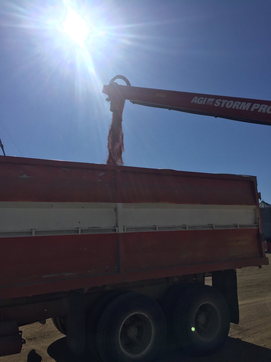 leanne_marin's tweet photo. Joel is out and about on this fine Sunday morning treating seed with a 2020 PRO operator in Norquay! Fast, gentle and accurate! #plant2020 #therollingstorms @STORMTreater @AgGrowthIntl https://t.co/27ZlPG5Kw5