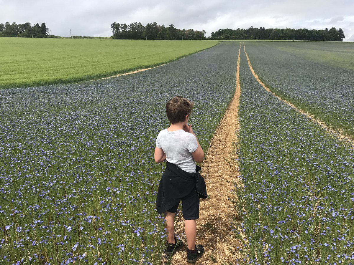 BONNIN1402's tweet photo. @agri_zoom @TerredeLin @HemeryckGuil @gnis @NatDedieu @1083officiel @ch_petit27 @dlysnormands @AgroGeek @Fragritwittos @TdBourgogne @lyonne_fr #linpossible n’est pas une culture pour #Ceuxquiselèventôt ni pour couche-tard 
mais bien une culture familiale 
et un magnifique outil de #ComPositive!
#Agropapa https://t.co/tIdbmE2PM8