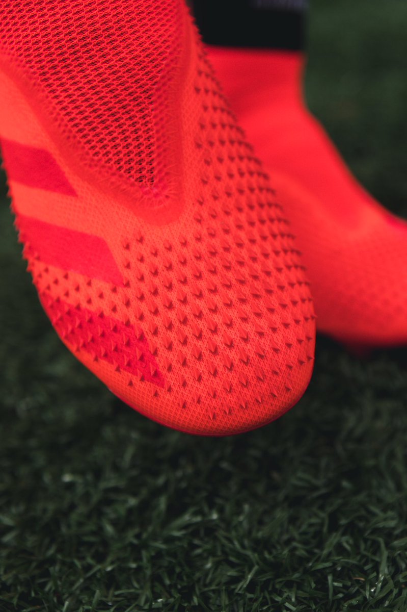 soccerdotcom's tweet photo. Strike on instinct. 🐅

The new @adidassoccer “Locality” #Predator20 is here.

Available now 👉 https://t.co/mUvxJd4IIy https://t.co/orGGlgG6lk