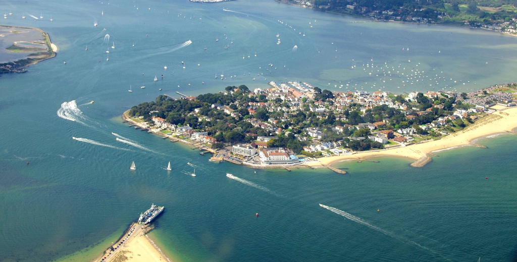 David Morris tweet media