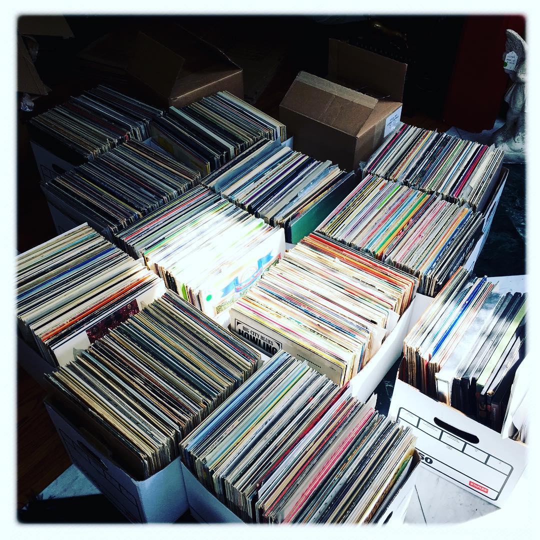 Andrew Greenaway tweet media