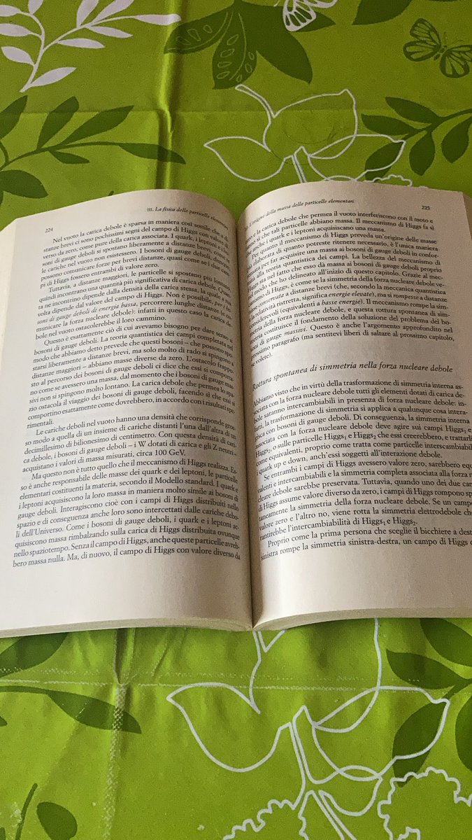 donnie86dc's tweet photo. Il meccanismo di Higgs per un pomeriggio di relax. #books #afternoon #scienza #libri #LisaRandall https://t.co/0fwG9tw8vD