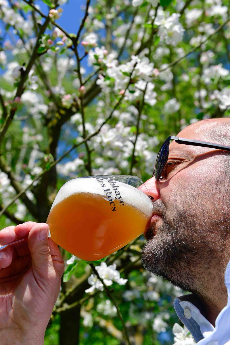 Beer_Tourism's tweet photo. Blanche des Honnelles, from Brasserie de l’Abbaye des Rocs. Brewed with barley, oats and unmalted wheat. #AbbayedesRocs now have their own online store, delivering to 5 countries. More info > https://t.co/nki6Y9dSh5 #belgianbeerculture #beertourism #belgianbeer https://t.co/ah3Xdv4rWU