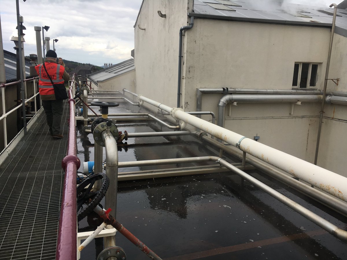 Andrews_Share's tweet photo. Another @SMWSUK bottling sees me back in Craigellachie peering down into those rather unusual rectangular worm tubs #SpeysideInSpirit #Dram20 #CheersToSpeyside https://t.co/6VEQjF2BCY