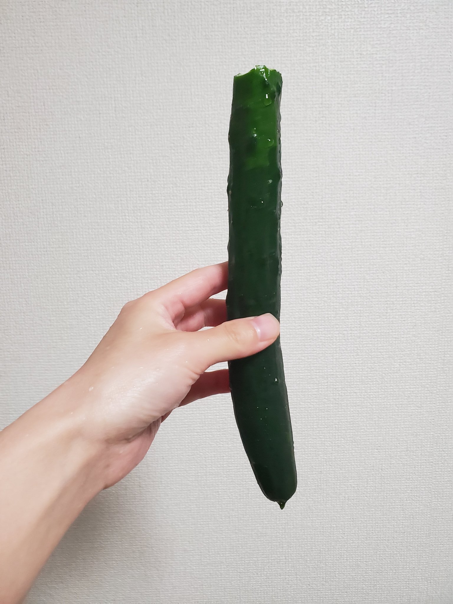 تويتر 花井美理 على تويتر 今夜もきゅうり丸かじり T Co Kx0ypodqni