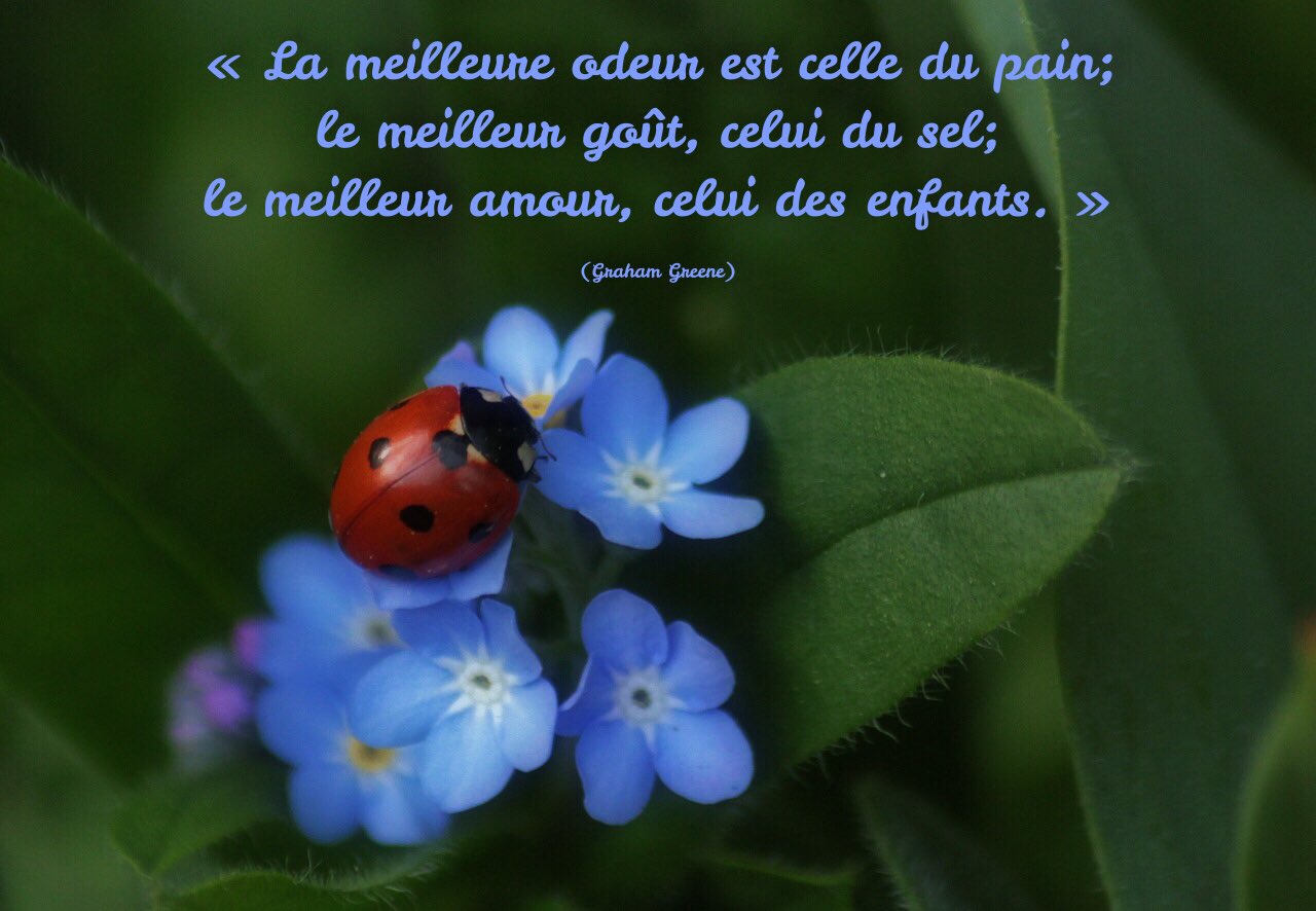 Marycolombine Citation Verite Quelemeilleur Ligue Des Optimistes T Co Uv7l4thqgh Twitter