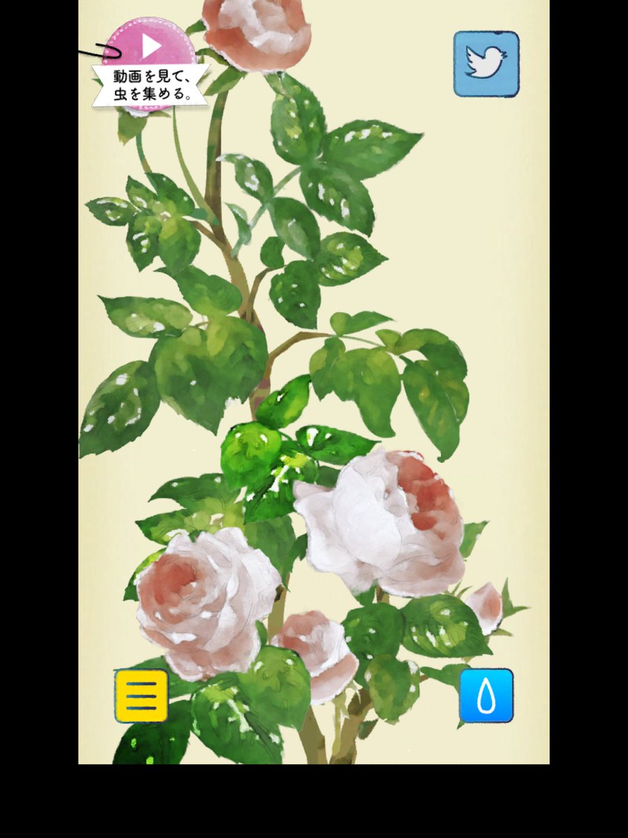 でこぽん Auf Twitter ポケットプランツ Iphone T Co Npqsxpdvhj Android T Co Hlmjlxoa6w 咲いた T Co Dpo4ieqbst Twitter