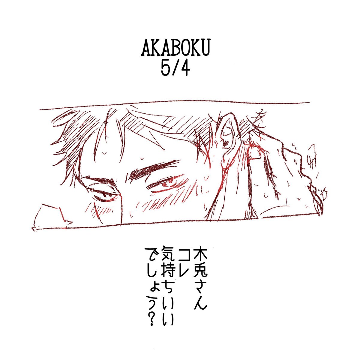 5/4 あかぼくの日
想像にお任せします( *'꒳`* )〜 