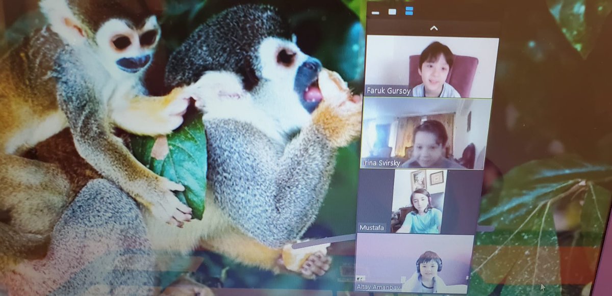 AmityVoice's tweet photo. Wow take a look at 2nd Grade they went on a virtual trip to the Amazon Rainforest! They were able to gain knowledge about the animals and experience the rainforest virtually 🙂 https://t.co/4oRcJihvcs