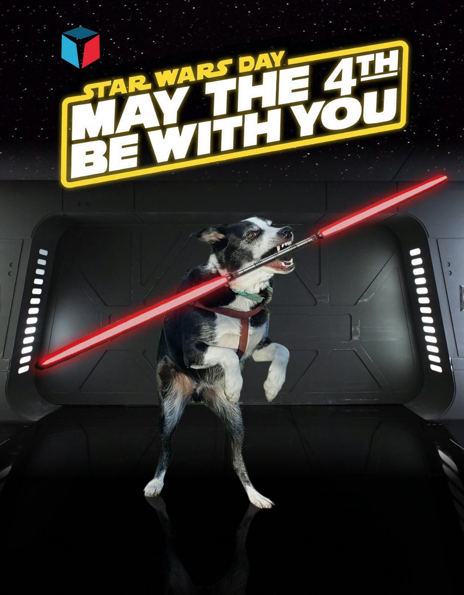 SBCDigitalUK's tweet photo. The lockdown's really getting to Maxi. He keeps going on about Skywalkies?
#DarthMaxi #MayThe4thBeWithYou https://t.co/XEmr0Jb3D9