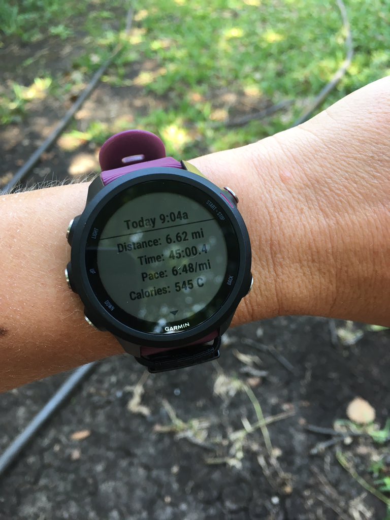 jrichardsNORTH's tweet photo. Second virtual relay complete ✅ ~ now we wait on our other relay legs!! #GTSDR #FOSHOE https://t.co/g3HLFKbgLH