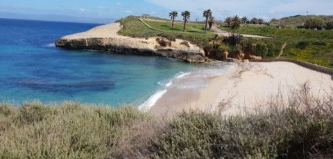 Baldaranza's tweet photo. 50 sfumature l'azzurro 🌊

#CalmaPiatta

Spiaggetta di Balai (Porto Torres)
#Sardegna

#photography Mia 📷

#ArabeschiDiPensieri 🍃 https://t.co/8kCk6QFoRF