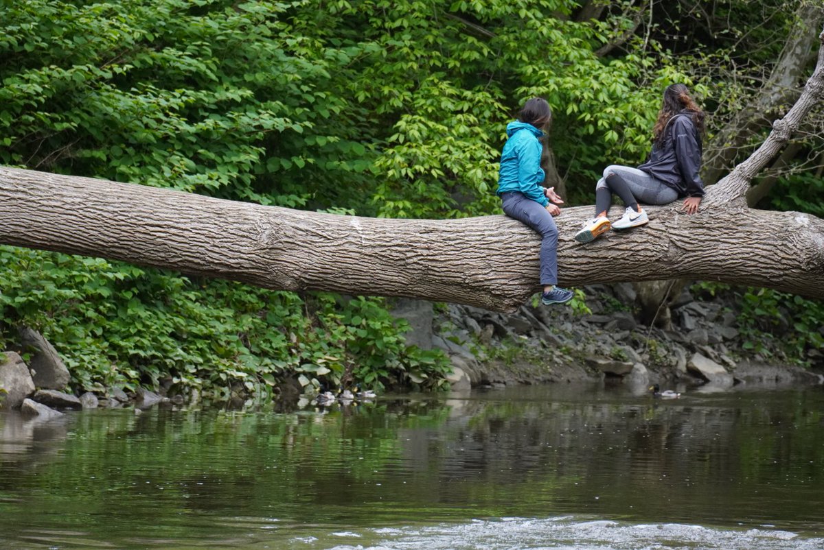 While staying near home, #Washingtonians can enjoy Rock Creek Park on a warm day in #May! #Sunday <a href="/LoveRockCreek/">Rock Creek Conservancy</a> <a href="/camdenwalker/">A.🤓Camden🌦Walker🤳</a> <a href="/capitalweather/">Capital Weather Gang</a> <a href="/marykimm/">Mary Kimm</a> <a href="/hbwx/">Howard Bernstein</a> <a href="/ChrisClimate/">Chris Laudicina</a> <a href="/LetitiaKing/">Letitia "Tish" King</a> <a href="/MidAtlHiking/">Mid-Atlantic Hiking</a> <a href="/StormHour/">#StormHour</a> <a href="/ANStweets/">ANStweetsSometimes</a> @ANSBrewer <a href="/Conthescene/">C on the scene</a> @islivingston <a href="/angelan/">angela n.</a>