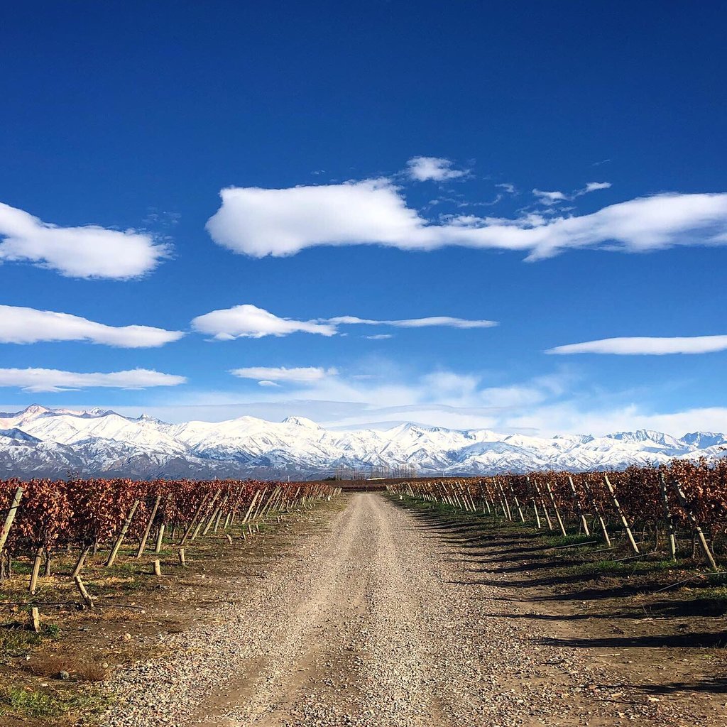 fincalaazul's tweet photo. Caminos del vino 🍷
#fincalaazul #casadehuspedesfincalaazul https://t.co/9ctWo4RtPh