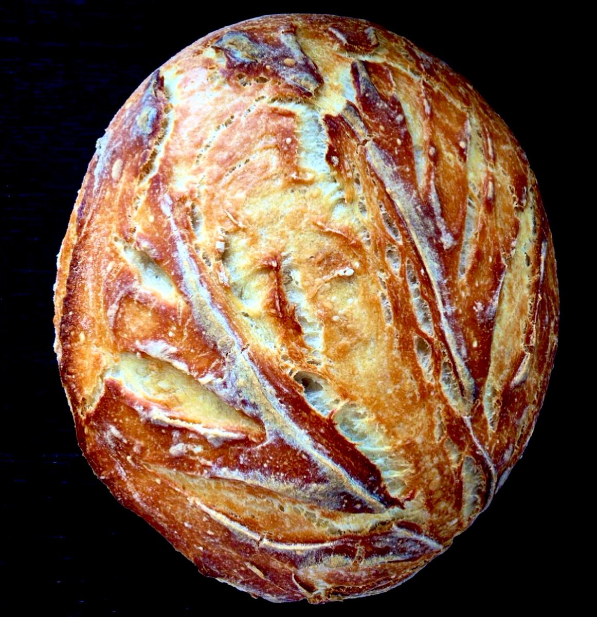 ellaone_13's tweet photo. Pain Maison au Levain Naturel #painaulevain #levain #bread #croute #sourdough #homemade https://t.co/kCnfMIEiu7