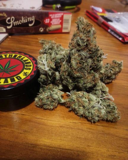 DiseaseWeed's tweet photo. 😋 https://t.co/hw0HG6NbHy
