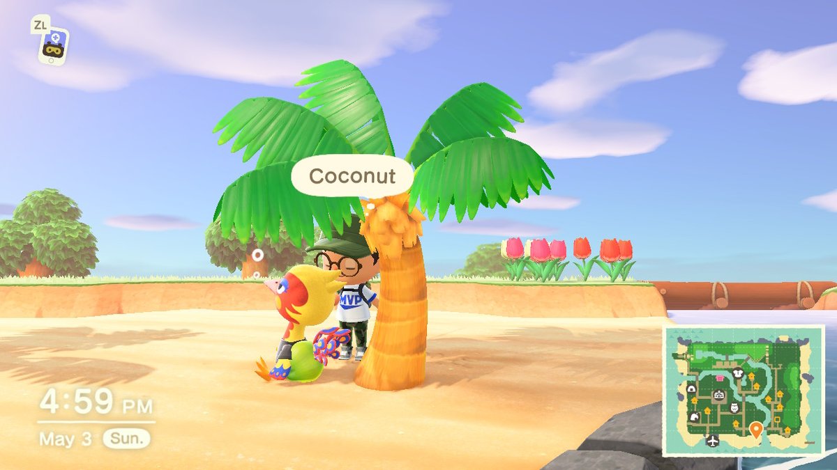 NilesRiver64's tweet photo. #AnimalCrossing #ACNH #NintendoSwitch https://t.co/B38ZcgcgCJ