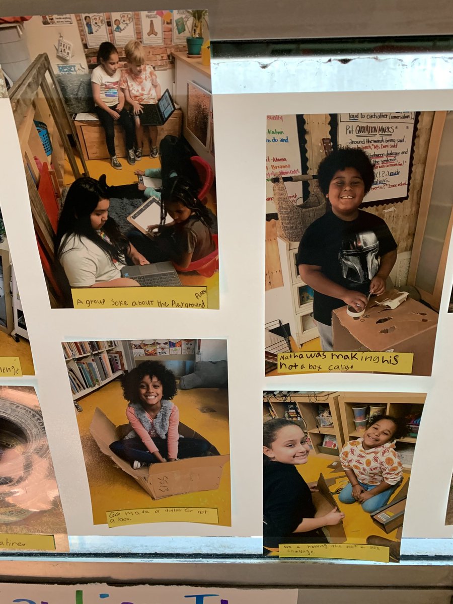 Dani Phillips tweet media