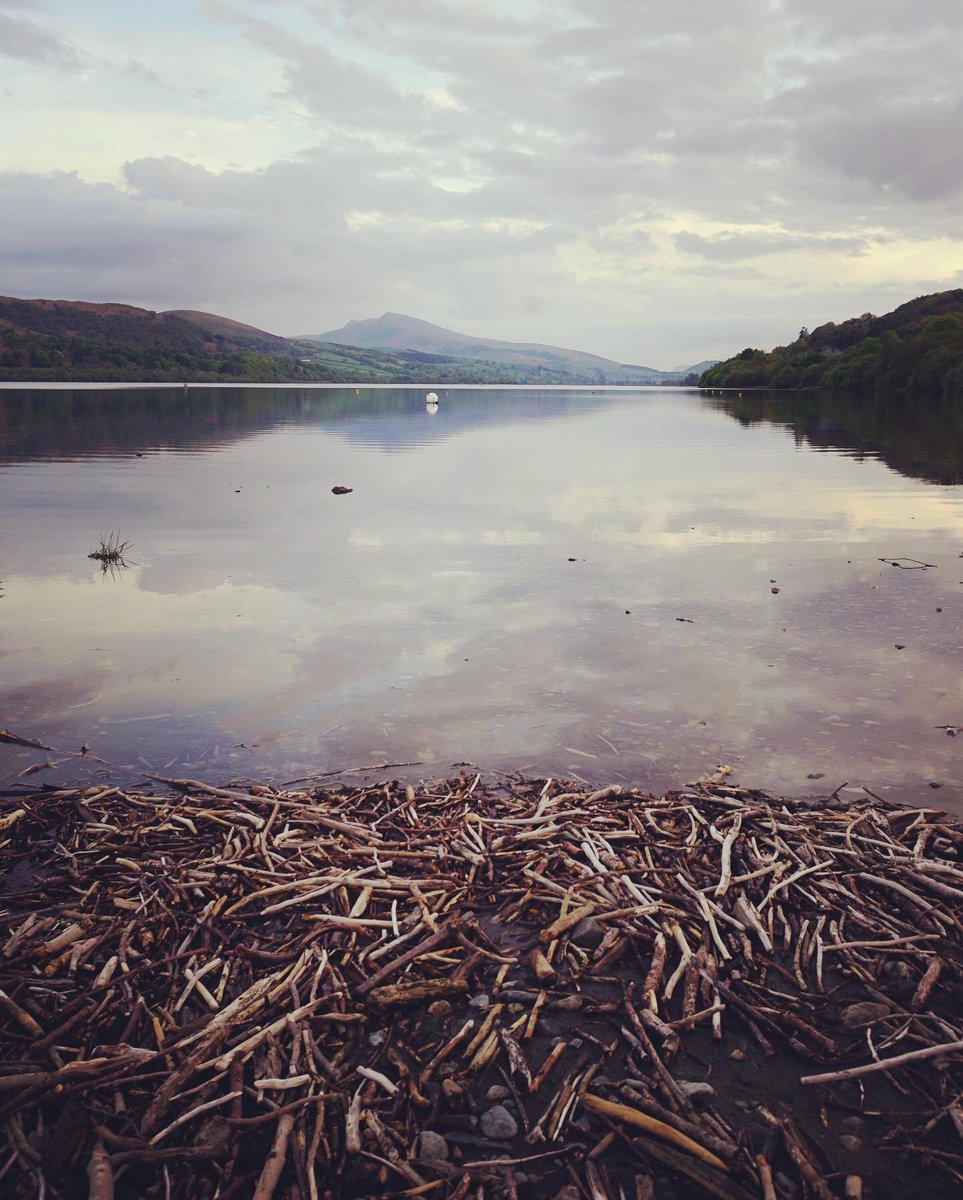 rhianbach's tweet photo. Tough day today for some reason. Camera grab and a short walk worked wonders #snowdonia #LockDownAndMe #freshair #Springwatch https://t.co/oZJRQy6j22