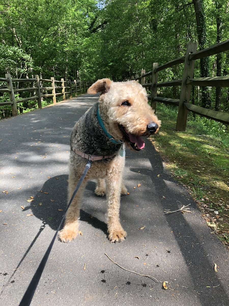 JessStumpf's tweet photo. Sunday stroll along the Doodle Trail πΎ #easleydoesit #exploreeasley #doodletrail https://t.co/DPIn6YFbqN